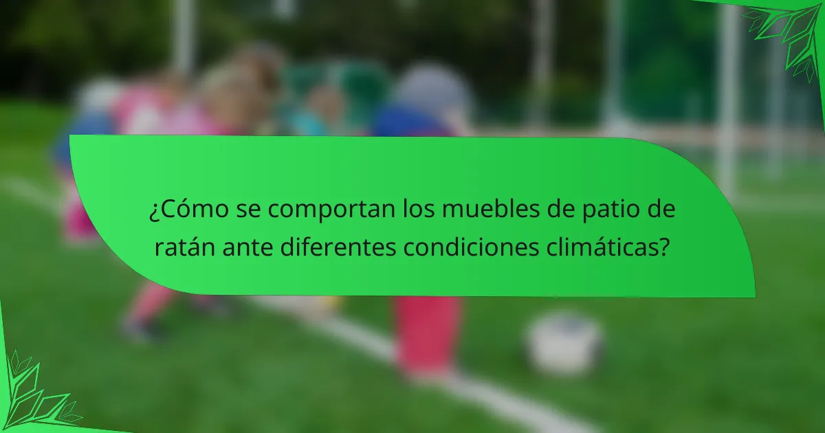 ¿Cómo se comportan los muebles de patio de ratán ante diferentes condiciones climáticas?